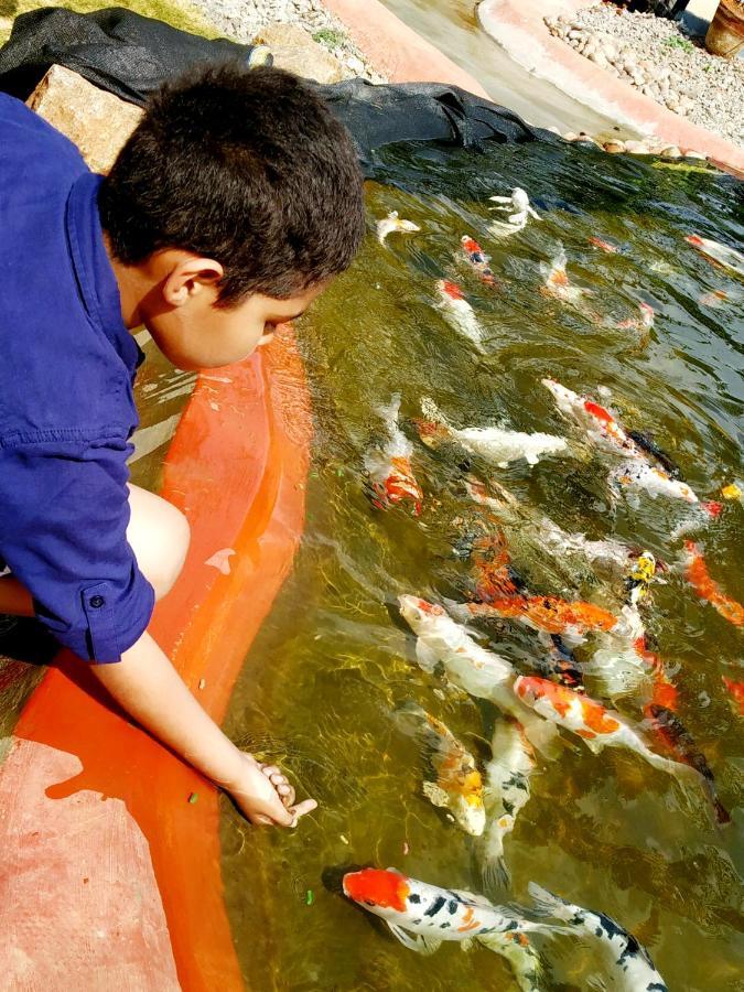 Fundera Aqua Stay Yelagiri Εξωτερικό φωτογραφία